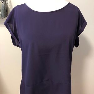 The Limited purple blouse